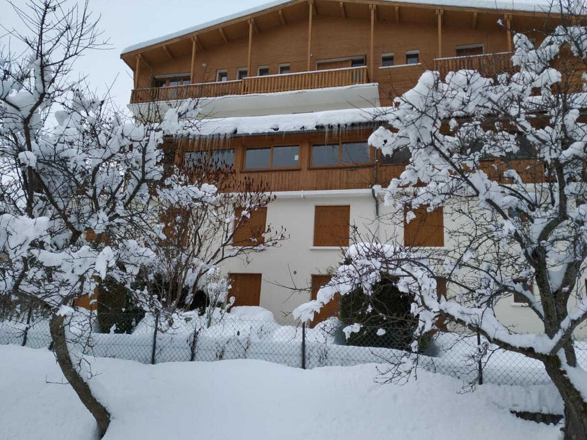 Appartement Rez De Jardin Montee De L'Alpe D'Huez La Garde  Ngoại thất bức ảnh